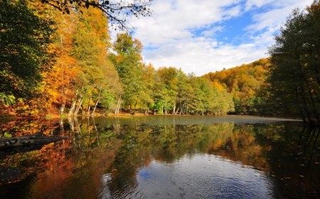 حيث يتحوّل الشتاء إلى عافية: اكتشفوا ملاذات تركيا المتكاملة للصحة والاستجمام