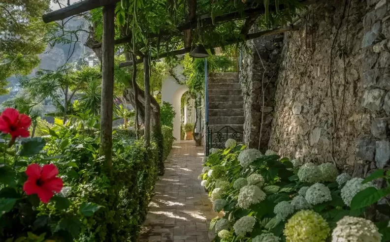 تاريخ فني بطابع هوليوودي