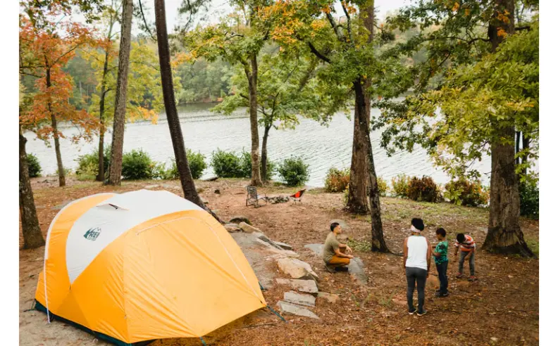 تنظيم الأنشطة وخلق تجربة ممتعة