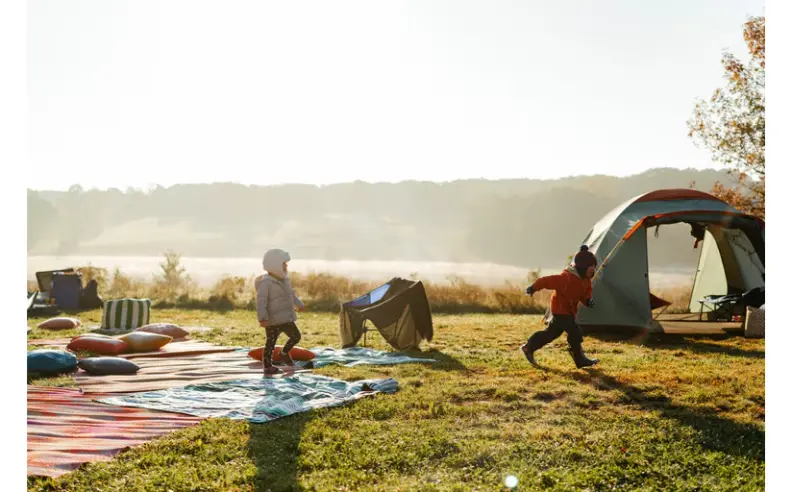 الأمان والمرونة مفتاح النجاح