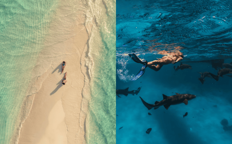 Sun Siyam Vilu Reef Private Marine Adventures