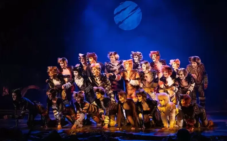 From Theatre Lights to Desert Horizons