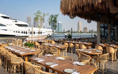 AlphaMind: Encouraging Community & Connection