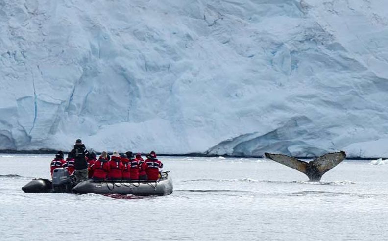 Explore Antarctica with Gondwana Ecotours’ Fully Guided Expedition