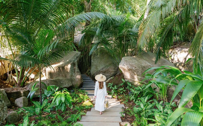 علاجات غيرلان في شيڤال بلان جزر السيشل