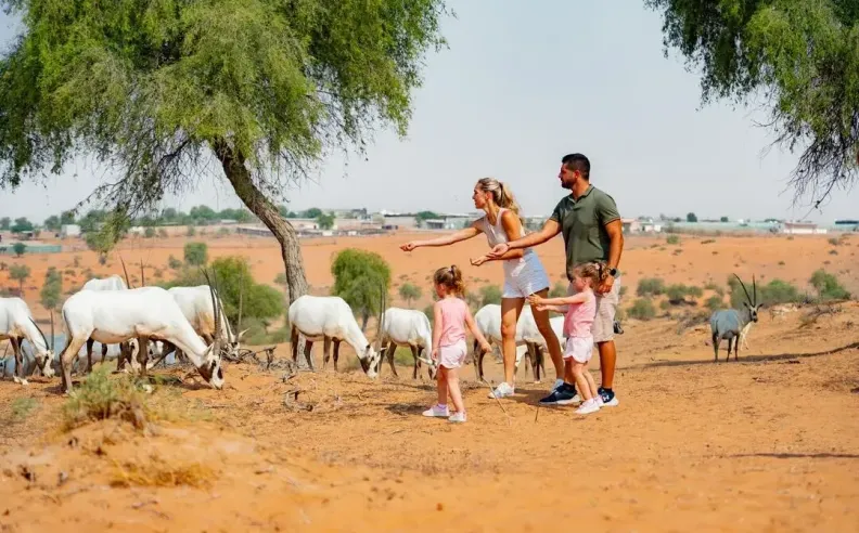 ملاذ فاخر في قلب الطبيعة الصحراوية